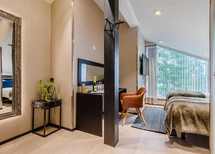 Hotel Boutique-hotelli Vellamo - Lehmonkaerki Asikkala (Southern Finland)