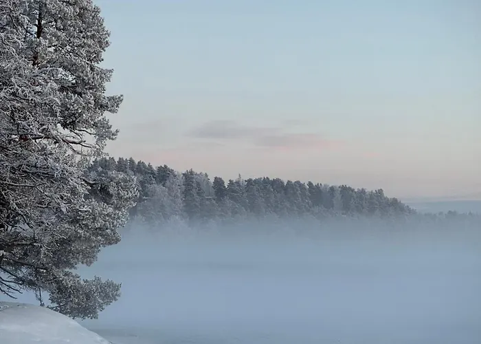 Hotel Boutique-hotelli Vellamo - Lehmonkaerki Asikkala (Southern Finland)