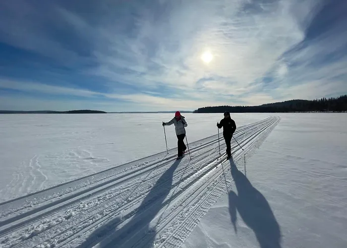 Boutique-hotelli Vellamo - Lehmonkaerki